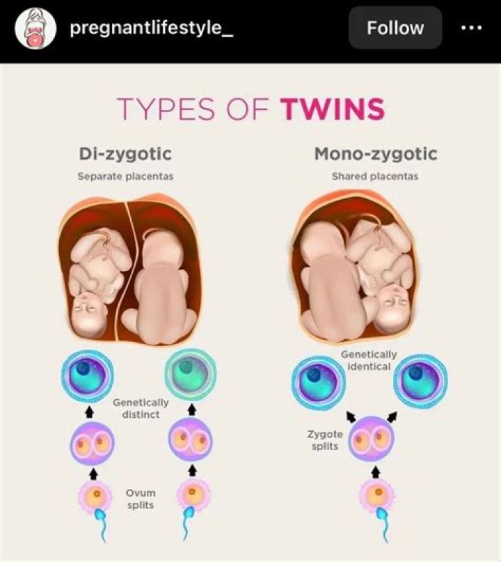 Trends in Twins Height: Understanding the Growth Patterns of Twins