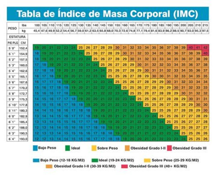 Unveiling Masa 49.com: A Comprehensive Guide