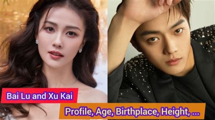 Xu Kai Wife: Discovering the Life, Love, and Legacy